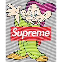 Brand Catalog-ZX 1002